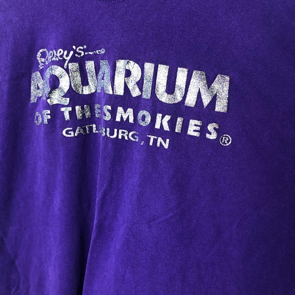 A Local's Honest Take on Ripley's Aquarium of the Smokies in Gatlinbur